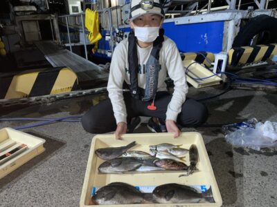 <p>れお君　旧一文字赤灯　エビ撒き　グレ30cmまでと中アジ・ガシラ・アオリイカ🎣</p>