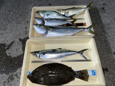 <p>島内様　沖の北　ショアジギでサゴシ🎣飲ませ釣りではハマチ〜メジロ4匹とヒラメ🎣初ヒラメおめでとうございます♪♪</p>