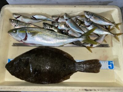 <p>小谷様　沖の北　飲ませ釣り　飲ませ釣りでヒラメ45cmとハマチ🎣サビキで中アジもGET♪♪初ヒラメおめでとうございます^ ^</p>