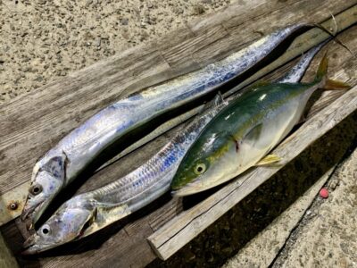 <p>ウキ釣り大好き❤石井様　沖の北内向き　日中はハマチ🎣　夜はタチウオ🎣　お仲間さんもウキ釣りでタチウオ2尾🎣</p>