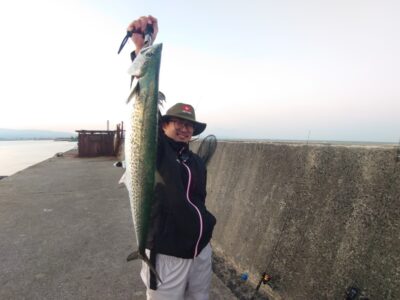 <p>沖の北外向き 飲ませ釣りでサワラ！6時半頃にヒット！ラバーネットで苦労してたので、僕がLLネットで助けました。ラバーネットはちょっとな〜…。</p>