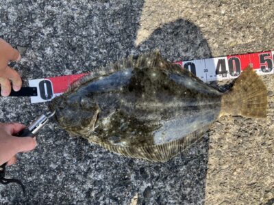 <p>信田様　沖の北　アジ飲ませ　ヒラメ48cm🎣おめでとうございます🎉</p>