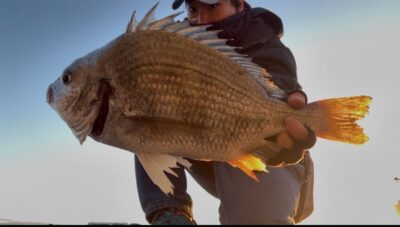 <p>立田兄弟(兄)様　沖の北　ショアジギでキビレ🎣</p>