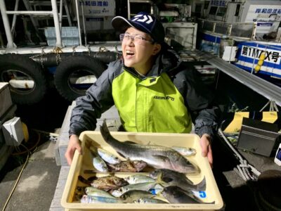 <p>🎣MAX泉大津店アーリー　旧一文字赤灯内向き　足元で良型アジ&サバ🐟　呑ませ釣りでハネ🐟　日暮れ〜虫エサでグレ&ガシラ🎣　(良型アジはクーラー満タン釣れていました‼️)</p>