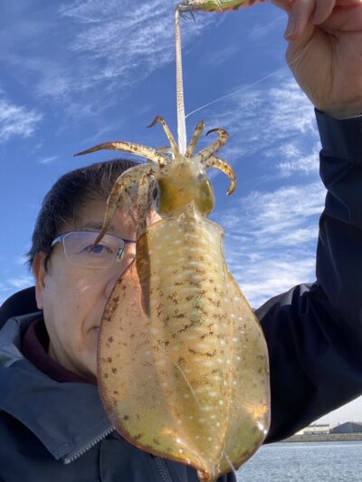 <p>🎣MAX上野芝店　安田氏　旧一文字赤灯沖向きでサクッと😉アオリイカ🦑</p>