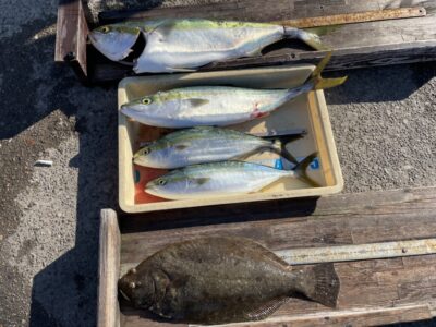 <p>インケツ連合様　沖の北　アジ飲ませ釣りヒラメ53.5cmとハマチ〜ブリ82cmまで4匹🎣メジロはショアジギで釣れたそうです♪♪おめでとうございます^ ^</p>