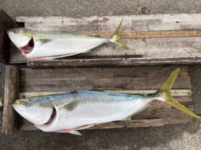 <p>広石様　沖の北　飲ませ釣りでメジロ〜ブリ84cmまで2匹🎣9時〜10時に釣れたそうです♪♪</p>