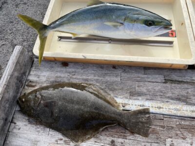 <p>匿名様　沖の北　アジ飲ませ　メジロ64cm・ヒラメ43cm🎣</p>