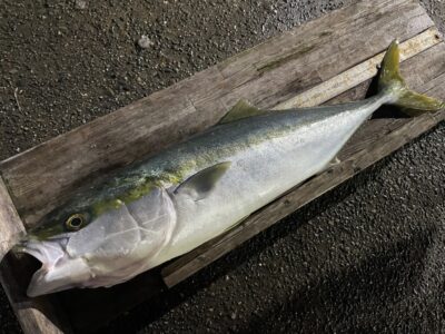 <p>日浦様　沖の北　アジ飲ませ　ブリ80cm🎣16時半頃にヒット♪♪</p>