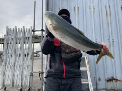 <p>はるえい様　沖の北　アジ飲ませ　ブリ85cm🎣13時前にヒット♪♪飲ませ用の小アジは現地調達かなり厳しめとの事でした😭</p>