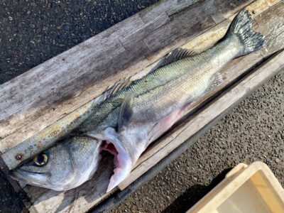 <p>今から26へ向かいます！広石様　沖の北　呑ませ釣り　324様の隣でハネ70cm🎣</p>