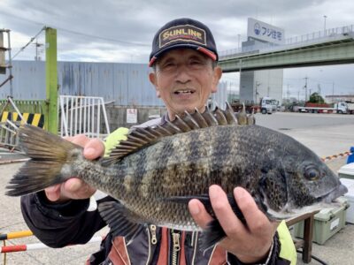 <p>木村様　旧一文字白灯　フカセ釣り　11時頃チヌ37cm🎣</p>
