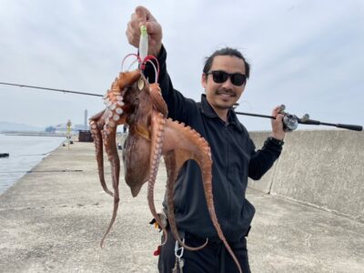 <p>沖の北内向き タコエギでタコ1.2kg🐙9時過ぎにヒット！</p><p>海藻が多い時期なのでヌルヌルしてあたりが分かり辛いですが、怪しいのは大ダコだと思って積極的に激合わせしましょう！</p>