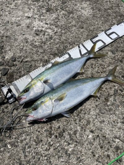 <p>上垣内様 沖の北 ショアジギでハマチ！バラしもけっこうあったみたい。</p>