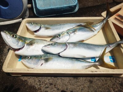 <p>沖の北 ショアジギでハマチ！今日はホントによく釣れてました♪</p>