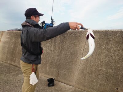 <p>玉ちゃん様 沖の北 ショアジギでハマチ2本！「今シーズン初めてですけど、まぁこれくらい余裕ですよ」とコメントいただきました♪いつもありがとうございます！</p>