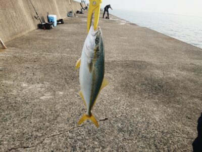<p>海老鼻様 沖の北メタルバイブでハマチ！6時頃にフォールでヒット！</p>