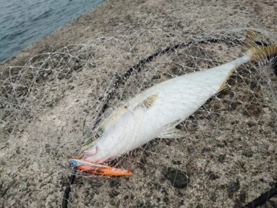 <p>沖の北 徹湾メタルバイブでハマチ！6時40分にヒット！</p>