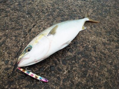 <p>沖の北 メタルバイブでハマチ！7時頃にヒット！</p>