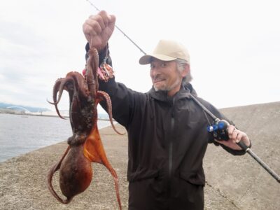 <p>軟体おじさん 旧一文字3番 大ダコ1.5kg！6時すぎにヒット！</p>