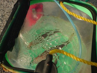 <p>沖の北 今朝のアジは最近では1番渋かったです。先端とオイルフェンス周辺で釣れてはいたんですが数匹…。レジェンド山本氏は0でした。赤灯も3匹。</p>