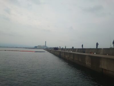 <p>沖の北 今日もポツポツペースで5時頃からハマチが釣れてました。表層だったりボトムからだったりとヒットレンジがばらばらなのでちょっと難しい…。</p>