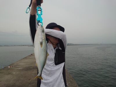 <p>沖の北 徹湾メタルバイブでハマチ！6時20分にヒット！2本目♪追記、7時頃もう1本追加してました。</p>
