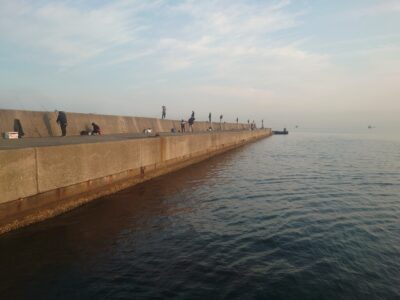 <p>沖の北 4時半便で渡ってすぐにハマチが釣れてました。着岸してる間の10分くらいで5本ほど。</p>