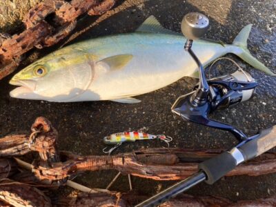 <p>釣れない猫様　沖の北　フリフリバイブ　ハマチ🎣7時前にヒット♪♪  タモ係＝釣れちゃう犬🐶</p>