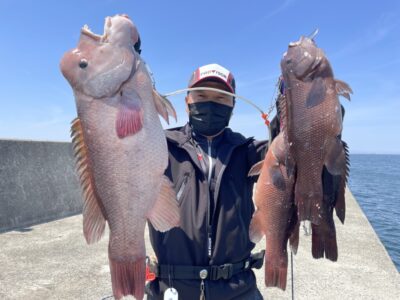 <p>大木様　沖の北　かぶせ釣り　カンダイ66cmまで4匹🎣撮影後リリース♪♪</p>