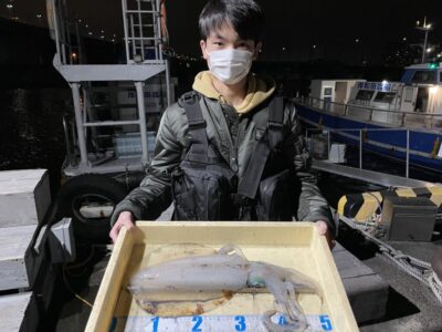 <p>チーム海老鼻 様　沖の北　ショアジギ　アオリイカ1.38キロ🦑青物狙いでルアーを投げてたところ掛かったそうです♪♪</p>