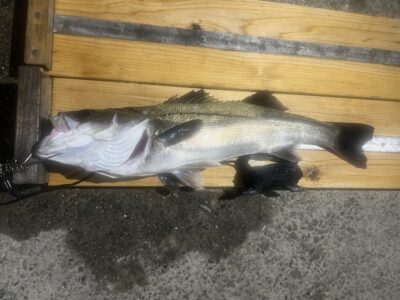 <p>レジェンド山本氏　沖の北　メンボー　シーバス68cm🎣</p>