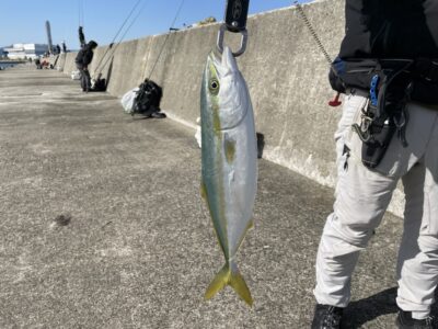 <p>神倉様　沖の北　ショアジギ　8時頃にハマチGET🎣</p>
