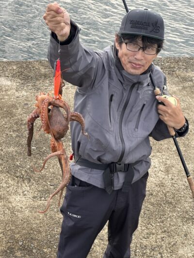 <p>にったこ様 沖の北外向き タコエギでタコ1.11kg🐙6時半にヒット！</p>