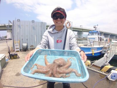 <p>吉岡様 沖の北 タコエギで🐙1.46kg！！！惜しくも大ダコ認定ステッカーゲットならず…また頑張ってください♪※1.5kg以上で認定ステッカー</p><p>新子はまだ少ないのでボウズ率高めですが大ダコ狙うなら今ですよ♪タモは携帯必須です！抜き上げダメ。</p>