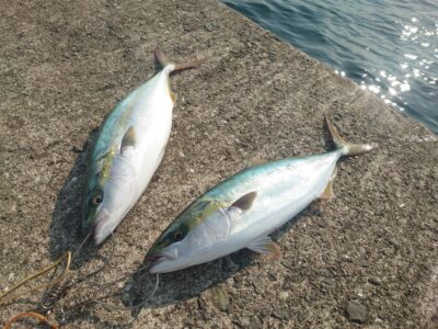 <p>沖の北 ショアジギでハマチ！7時頃にちょっと時合いがあったみたいです。</p>
