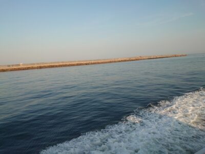 <p>沖の北 5時頃にセットアッパーでサワラをかけた方がいたんですが、小さいネットで自らタモ入れ…バラしたそうです。ネットは大きいものを準備してください！</p><p>タモ入れを手伝ってくれる心優しい方が多いので、遠慮せず「誰か〜助けて〜」と叫びましょう！</p>