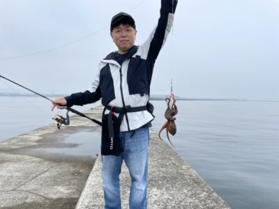 <p>広石様　沖の北　タコエギでマダコ🐙6時半ごろに外向きでヒット♪♪</p>