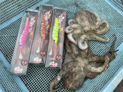 <p>マックス難波店　池田様　中波止2番　蛸電でマダコ2杯🐙</p>
