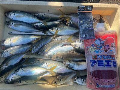 <p>レジェンド山本　沖の北先端内向き　足元サビキで小〜中アジ大漁！4時便〜7時での釣果。サイズ良し♪美味しそうです♪</p>