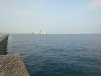 <p>沖の北も旧一文字も苦潮ではなかったです。</p><p>沖の北の継ぎ目狙いは数匹釣れただけ、タコエギでも釣れていたので苦潮パターンな感じはないです。</p><p>旧一文字はタコエギで釣れていましたがポツポツで数が伸びないようでした。</p><p>梅雨明けして雨が少ないので状況が読みづらいです。いつまた苦潮になってもおかしくない…。</p>