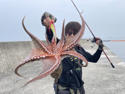 <p>八幡様　別撮り　沖の北　マダコ1.25キロ🐙</p>