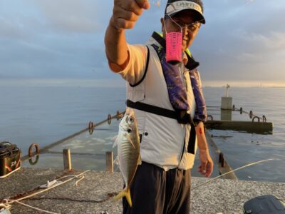 <p>杉浦様　沖の北先端　5時半頃　サビキ釣り(竿下)で中アジ🎣今日は良く掛かってました♪♪</p>