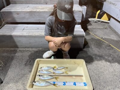 <p>ここみちゃん　旧一文字赤灯　サビキ釣り(竿下)  アジ24cmまで🎣</p>