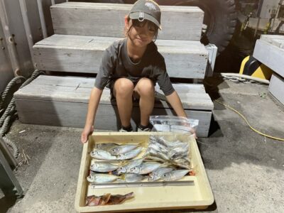 <p>ここみちゃん　旧一文字赤灯　サビキ釣り(竿下)   豆アジ〜中アジ多数とガシラGET🎣</p>