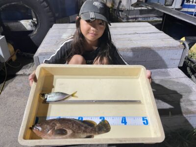 <p>ここみちゃん　旧一文字赤灯　胴突き　アコウ33cm🎣アジは不在との事でした😭</p>