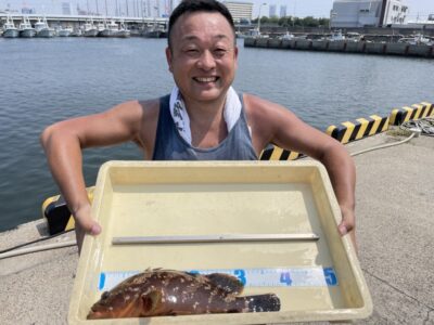 <p>善野様　旧一文字赤灯　エビ撒き　アコウ38cm✨</p>