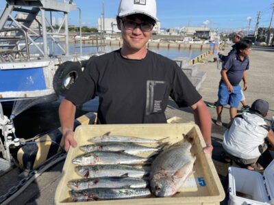 <p>泉谷様　沖の北　ショアジギ　サゴシ6匹とキビレ🎣午後の釣果♪♪</p>