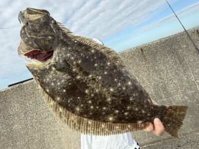 <p>立田君　沖の北外向き　飲ませ釣りでヒラメ！</p>