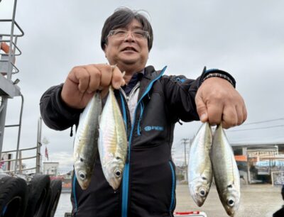 <p>レジェンド山本　旧一文字赤灯　サビキ釣り　アジの喰い気が前日迄とは打って変わって激渋の中なんとか中アジ🎣</p>